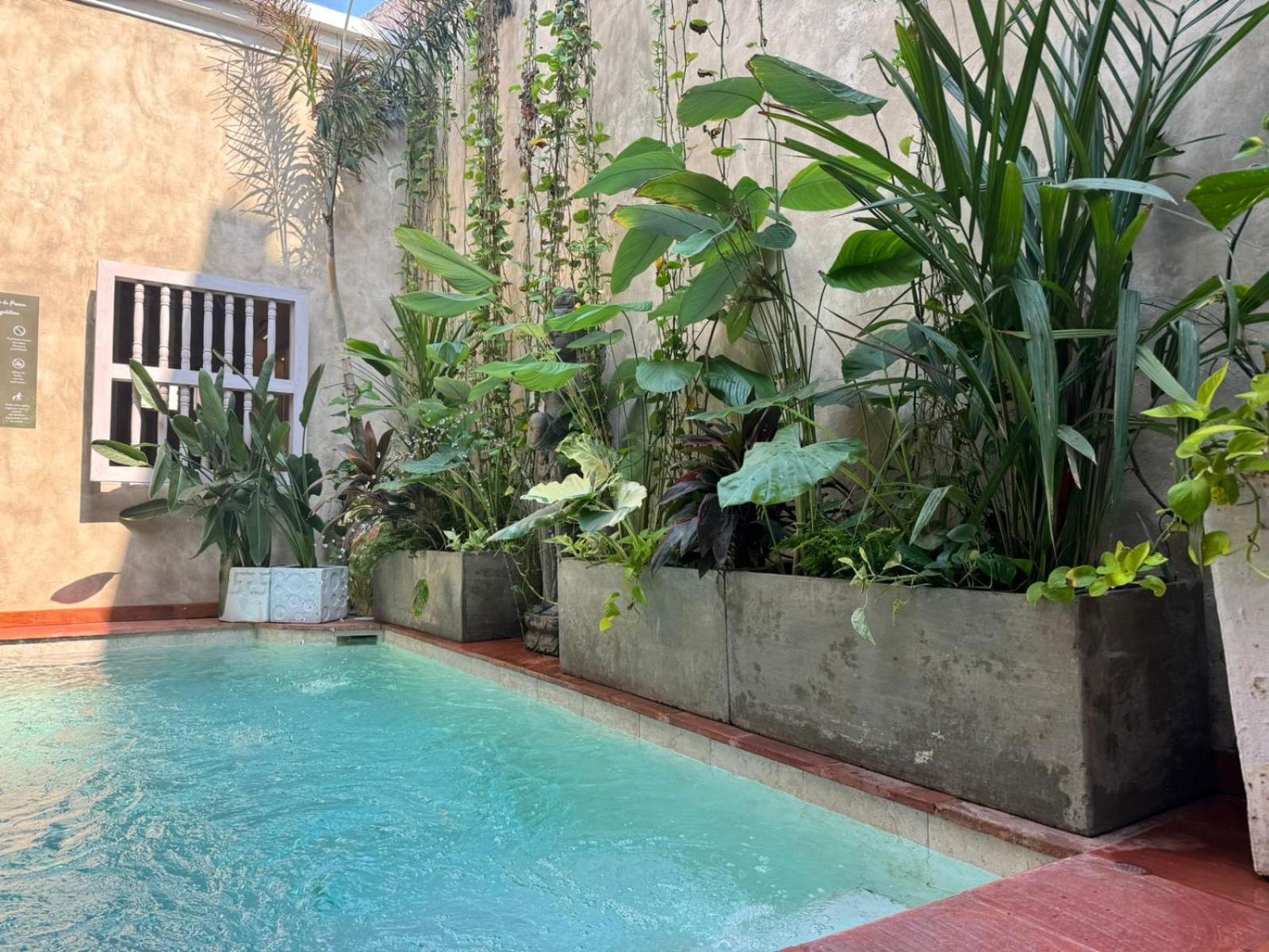 Moet Cartagena Hotel Boutique Adutls Only Esterno foto
